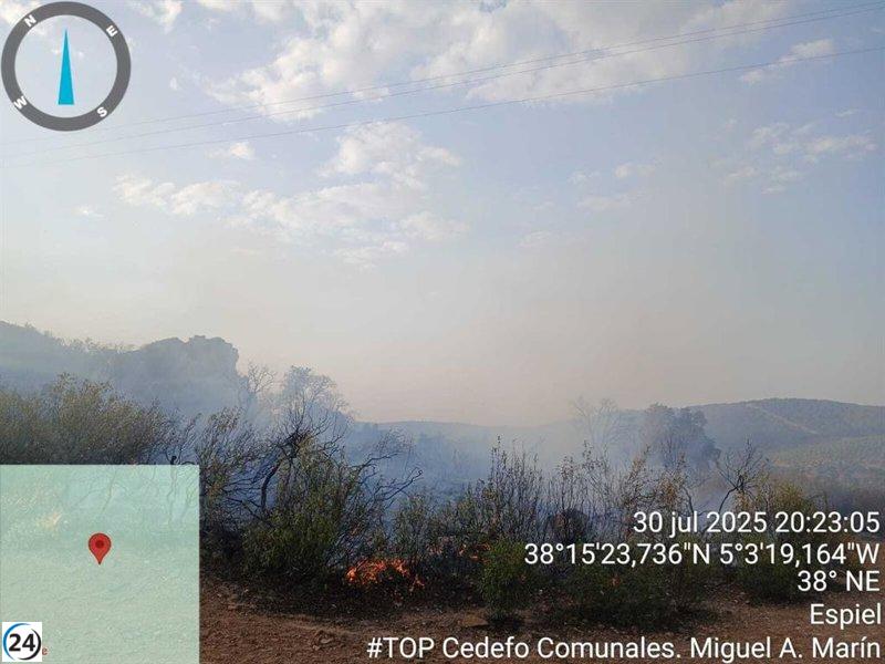 Incendio en los montes de Espiel (Córdoba) extinguido con éxito.