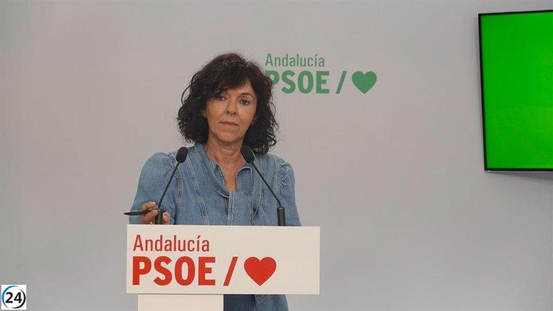 PSOE-A atribuye el colapso sanitario a severos recortes, no a incidentes aislados.