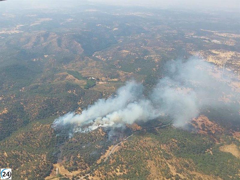 Incendio en Las Lapas, Constantina: Nueve aeronaves en acción para combatirlo.