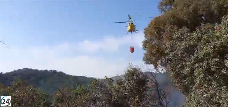 El Infoca logra controlar el incendio en Las Lapas, Constantina.
