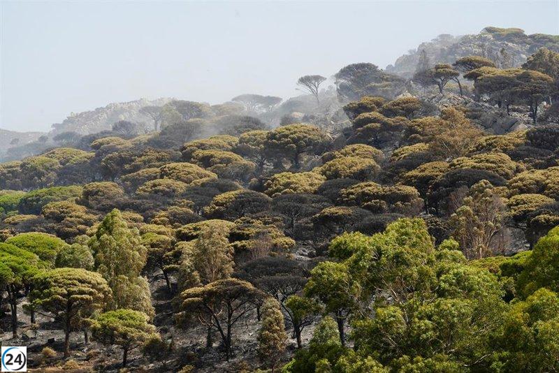 Controlado el incendio en Tarifa tras cuatro días de intensas labores del Infoca.
