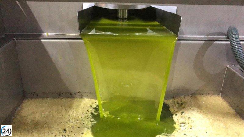 Según COAG Jaén, se vende aceite más rápido que en 2024, quedando solo el 36% de la producción.