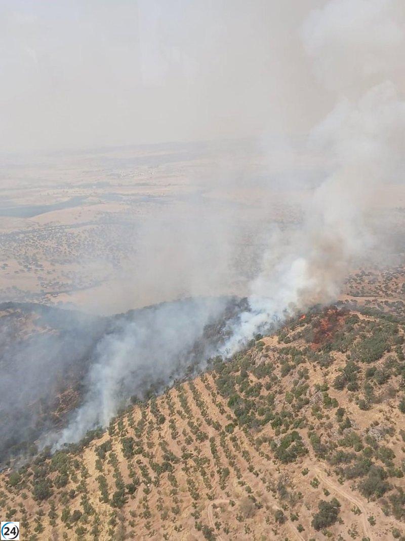 Refuerzan la lucha contra el incendio en Villanueva del Rey (Córdoba) con 14 aviones y 7 brigadas de bomberos.