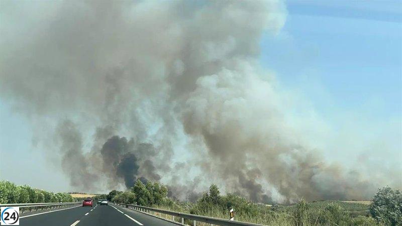 Se declara emergencia operativa en Bonares (Huelva) debido a un incendio que impacta la A-49.