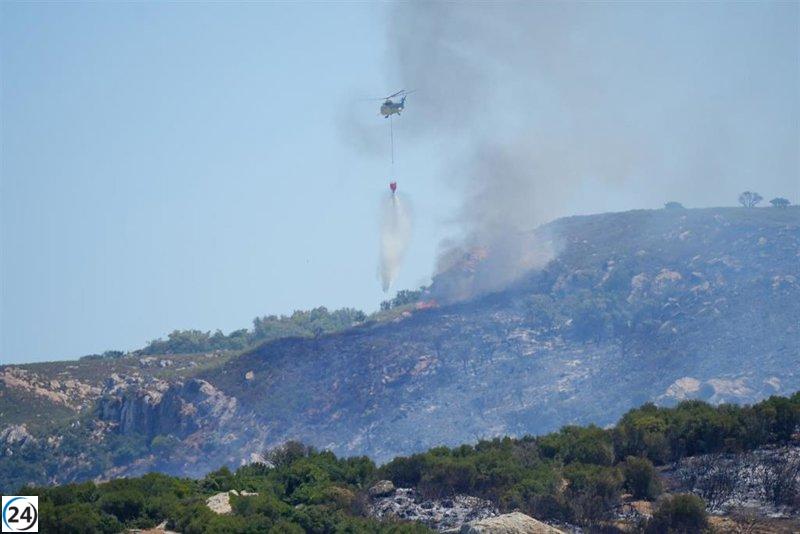 El Ejecutivo clasifica cuatro provincias andaluzas como 'zonas en emergencia' tras siete incendios forestales estivales.