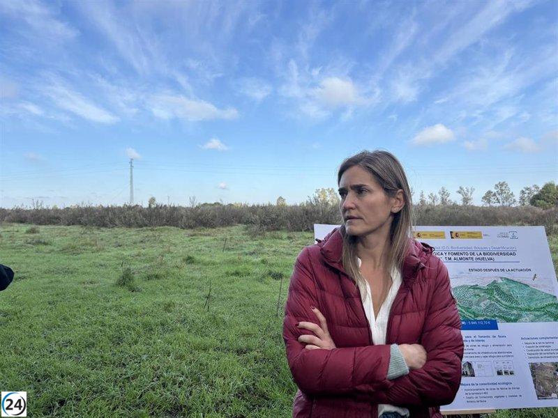 El Gobierno asigna 28 millones para apoyar la restauración de Doñana y regular las ayudas a agricultores.