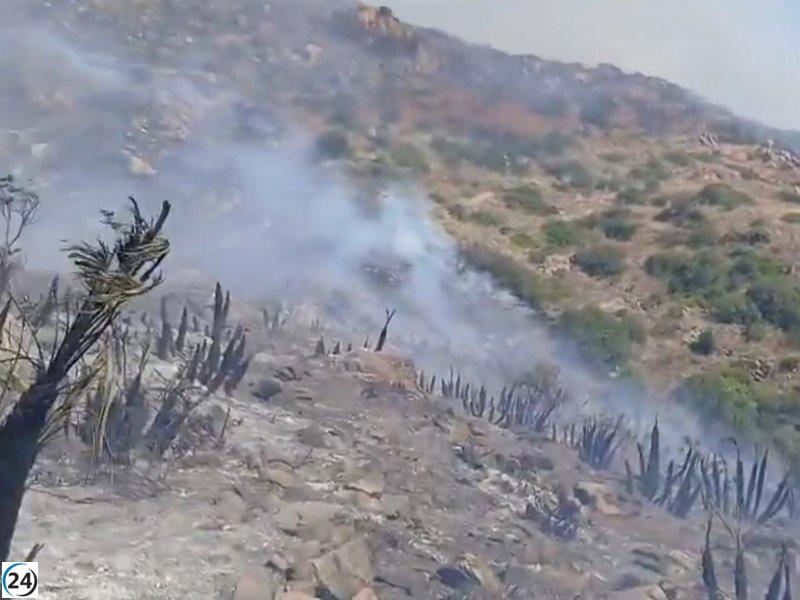 Viento de 30 km/h dificulta la lucha contra el fuego en Lubrín, Almería.