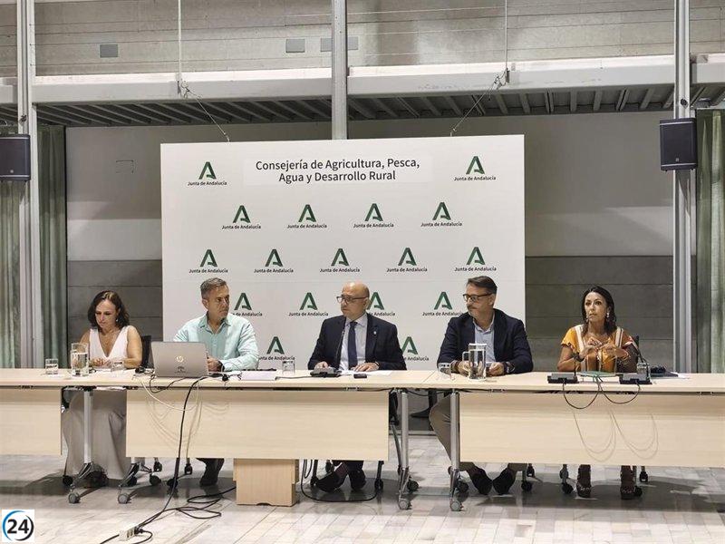 Andalucía prevé cosechar 131.442 toneladas de algodón en la próxima temporada.