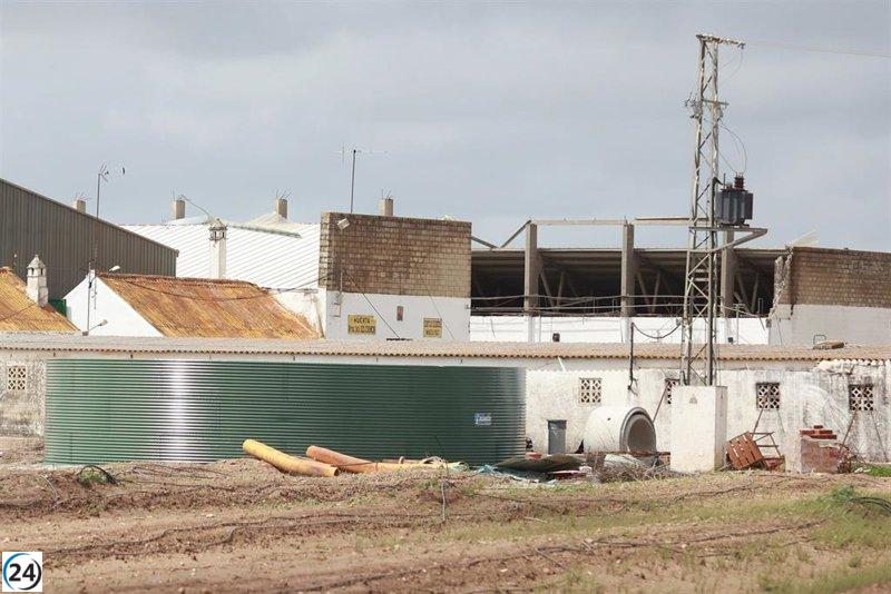 Cierra el expediente del caso sobre la tragedia laboral en una finca agrícola de Coria, donde fallecieron tres trabajadores.