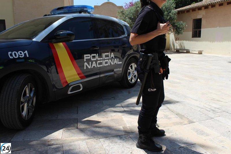Arresto por ataque violento a un joven en San Pedro Alcántara, Marbella.