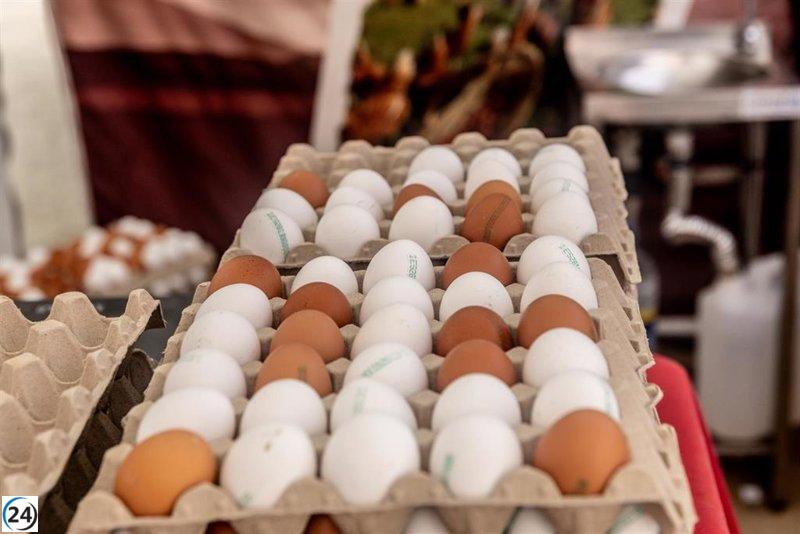 Hong Kong interrumpe las importaciones de carne y huevos de Huelva por brotes de gripe aviar.