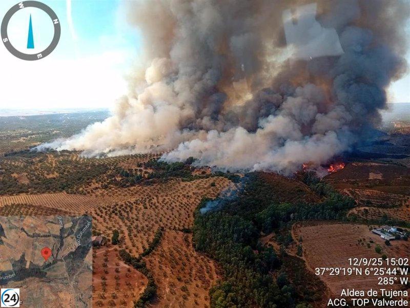 Se declara un incendio en Los Almendrillos, Paterna (Huelva).