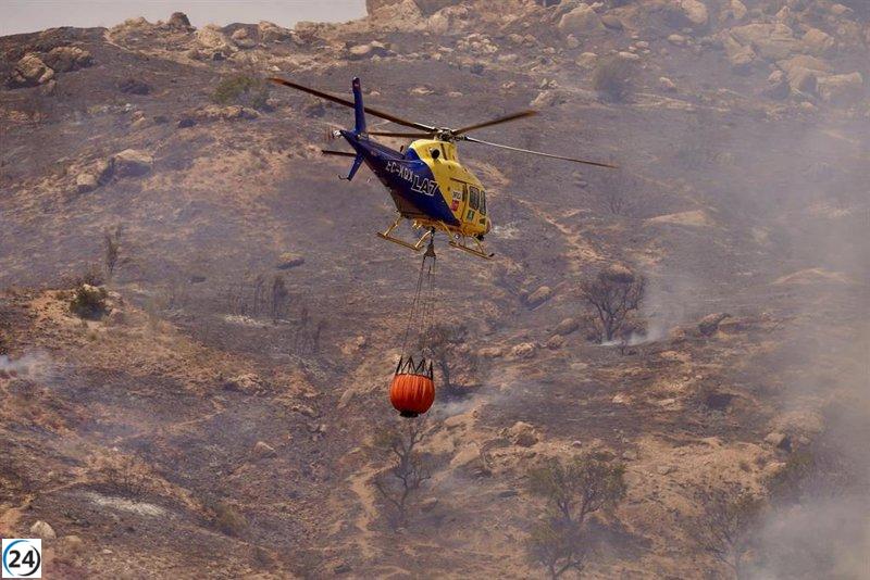 Alrededor de 40 bomberos y tres aviones se movilizan para extinguir un incendio en Alcaucín, Málaga.
