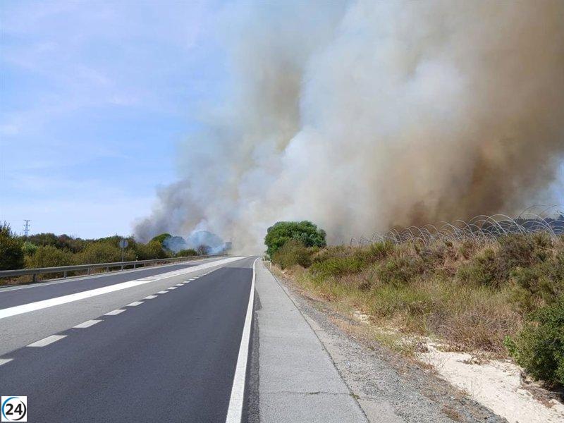 Incendio en Arroyo el Colmenar provoca el cierre de la A-484 en Bonares, Huelva.
