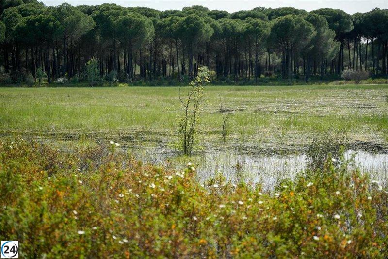 Se destinarán cinco millones para mejorar la calidad de vida de los temporeros en Doñana.
