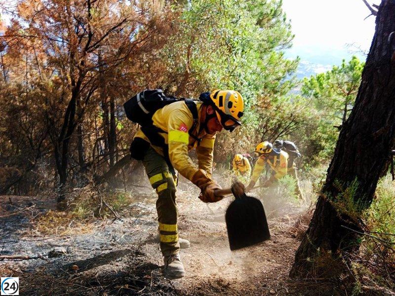 El incendio en Las Viñas, Andújar, ha sido controlado gracias al Plan Infoca.