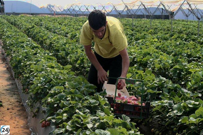 CCOO insta a Moreno a cesar el uso político de los migrantes y a exigir su derecho al voto.