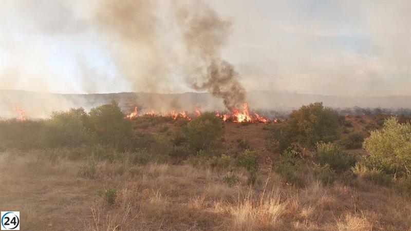 Controlado el incendio forestal en El Castillo de las Guardas, Sevilla.