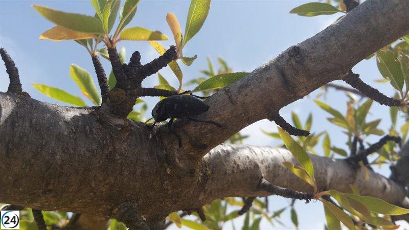 Andalucía se posiciona como referente en producción ecológica, alcanzando casi 1,5 millones de hectáreas.