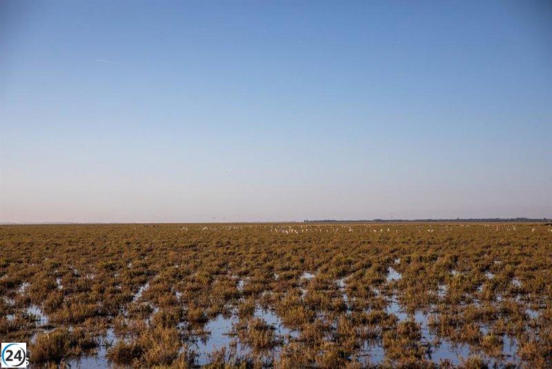 El Gobierno da luz verde al deslinde de las marismas en Doñana, afectando a Hinojos, Almonte y Aznalcázar.