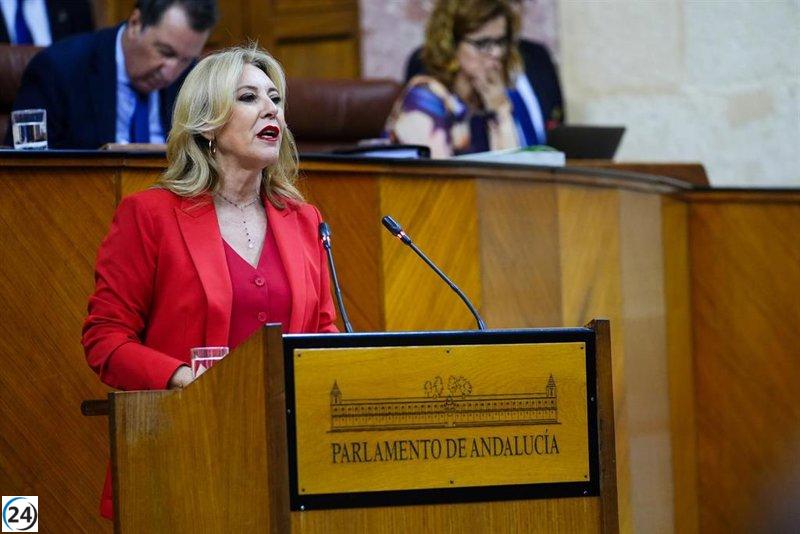Continúa en el Parlamento el avance de la Ley de Patrimonio, enfrentando la oposición del PP-A y Vox a las propuestas del PSOE-A y Por Andalucía.