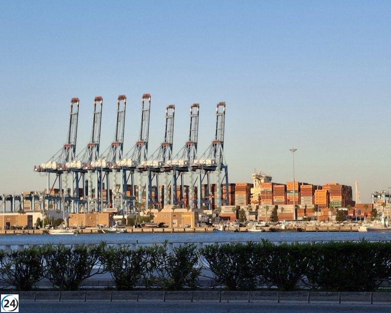 Desmantelan un cargamento de 20 toneladas de hachís camuflado en pimientos en camiones de origen marroquí.