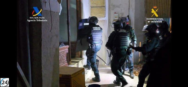 Desmantelan en Osuna un invernadero con 1,600 plantas de cannabis.