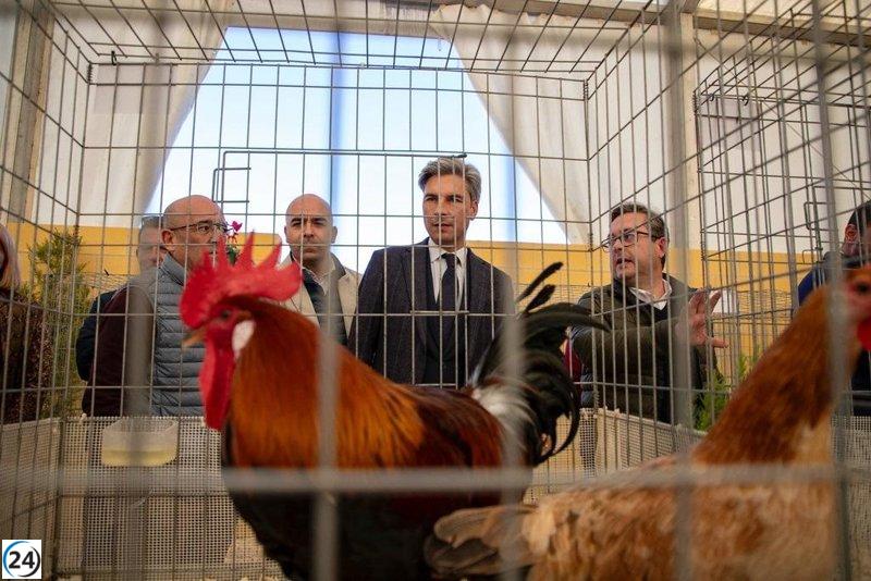 La Diputación de Córdoba cancela Avicor 2025 ante el brote de gripe aviar.