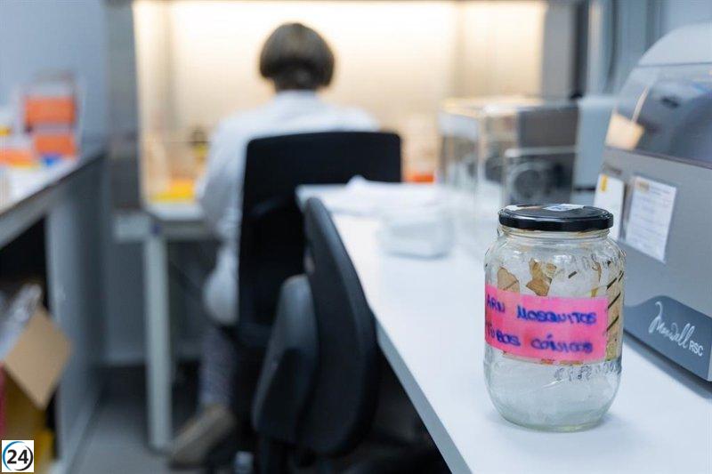 Andalucía activa la alerta sanitaria por el virus del Nilo en tres localidades de Sevilla y La Línea, Cádiz.