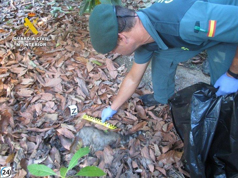 Anciano arrestado en Jete, Granada, por envenenar animales con cebos envenenados.
