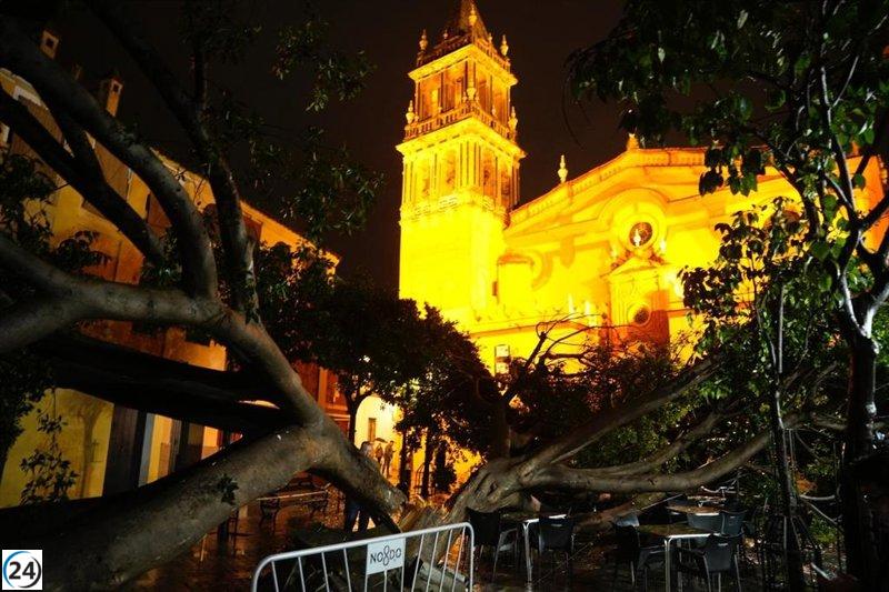 Un rayo destruye un ficus en la Plazuela de Santa Ana en Sevilla, sin heridos.