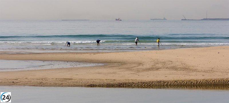 El Golfo de Cádiz vuelve a permitir el marisqueo de coquinas desde este miércoles.