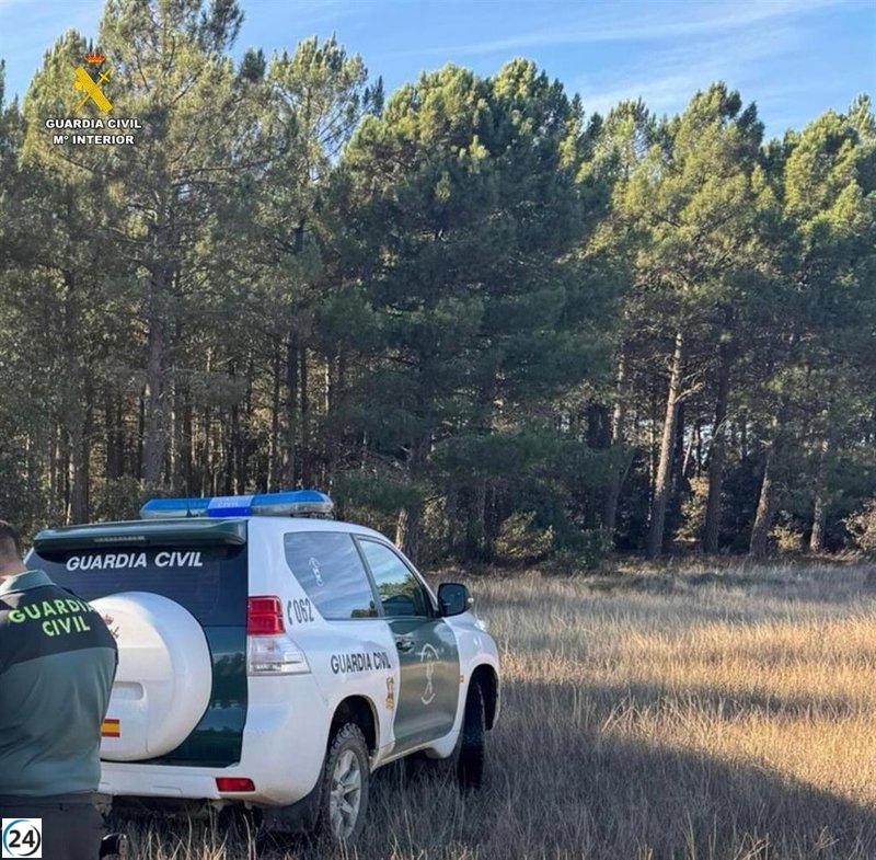 Andalucía, epicentro trágico de feminicidios en 2025.