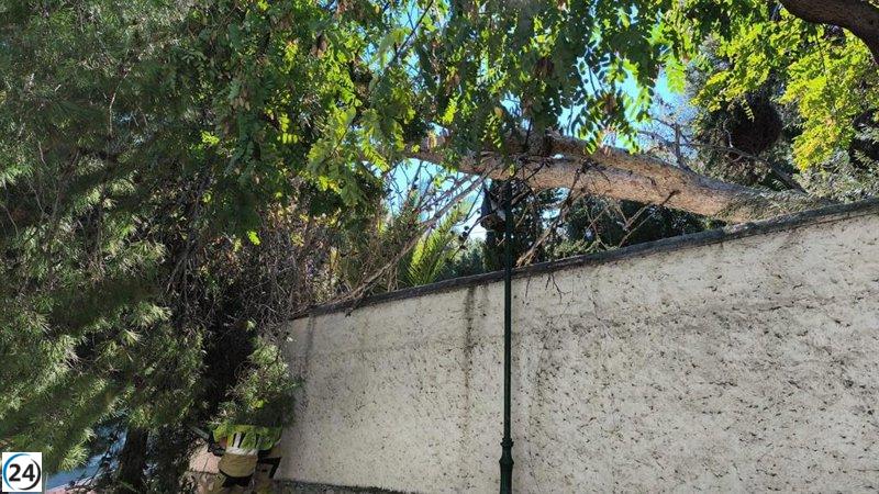 Cien incidentes por viento afectan a la costa malagueña.