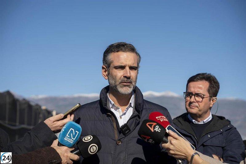 La borrasca 'Francis' impacta alrededor de 2.000 hectáreas de cultivos en Almería, según la Junta.