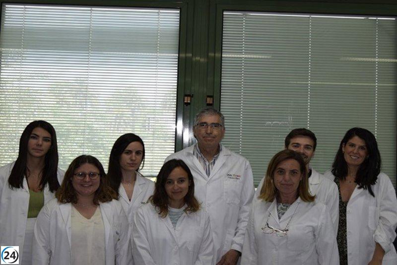 Científicos andaluces desarrollan cereales que combaten la sequía y reducen el gluten.