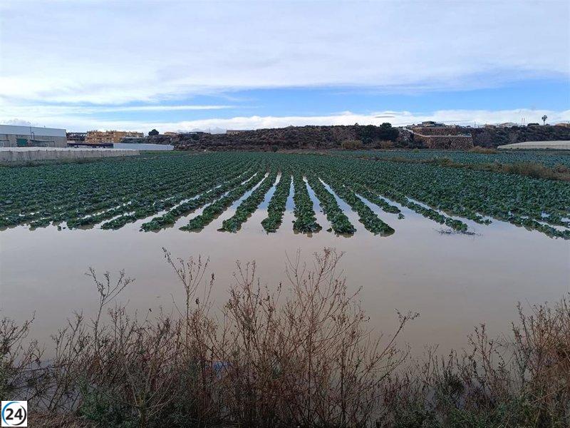 Asaja Andalucía espera un año agrícola de riego 