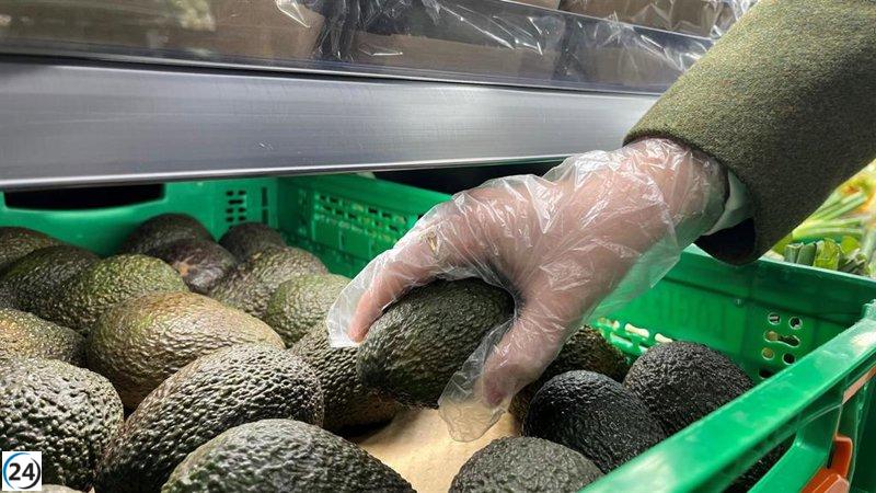 En 2026, Mercadona ofrecerá más de 14 millones de kilos de aguacates, todos provenientes de Andalucía.