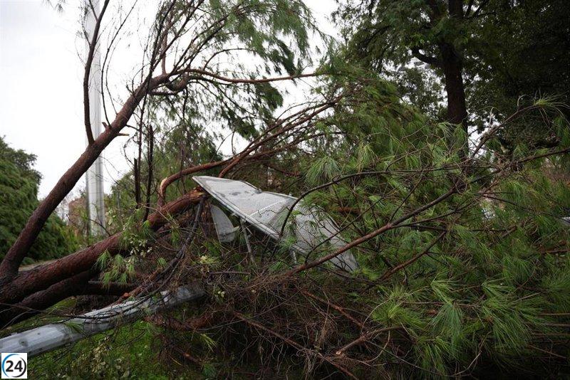 Sevilla activa el Plan Territorial de Emergencias Local tras los efectos de la borrasca Leonardo.
