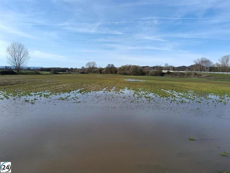 El sector agrícola en Andalucía enfrenta serios retos por la incesante lluvia que detiene su actividad.