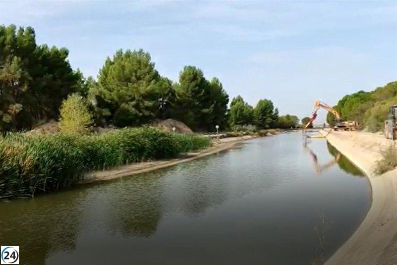 CHG adelanta riego en zona de Genil-Cabra de Córdoba para favorecer cultivos.