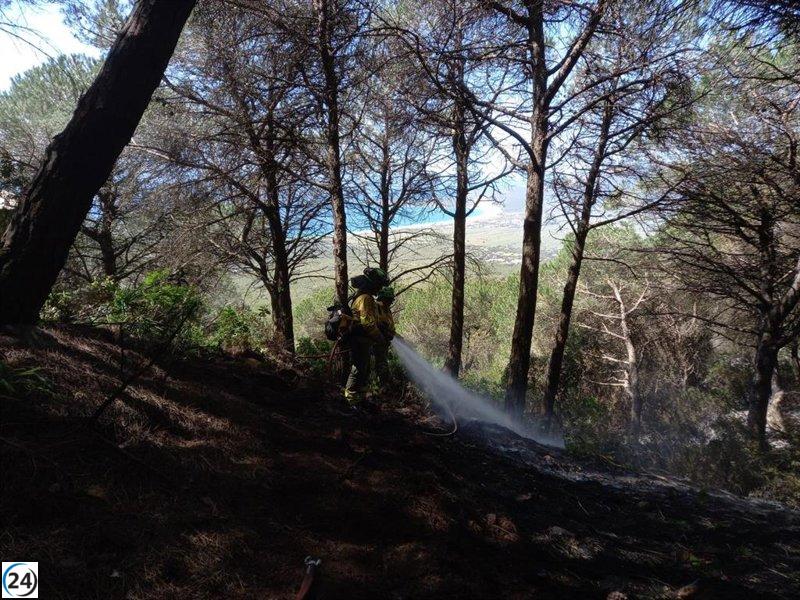 Extinción del incendio forestal en Tarifa (Cádiz) después de cinco días de labores en la zona.