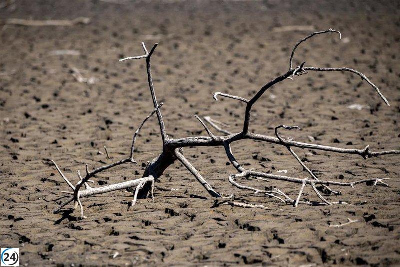 Gobierno llama a la Mesa de la Sequía para abordar su impacto en el campo.