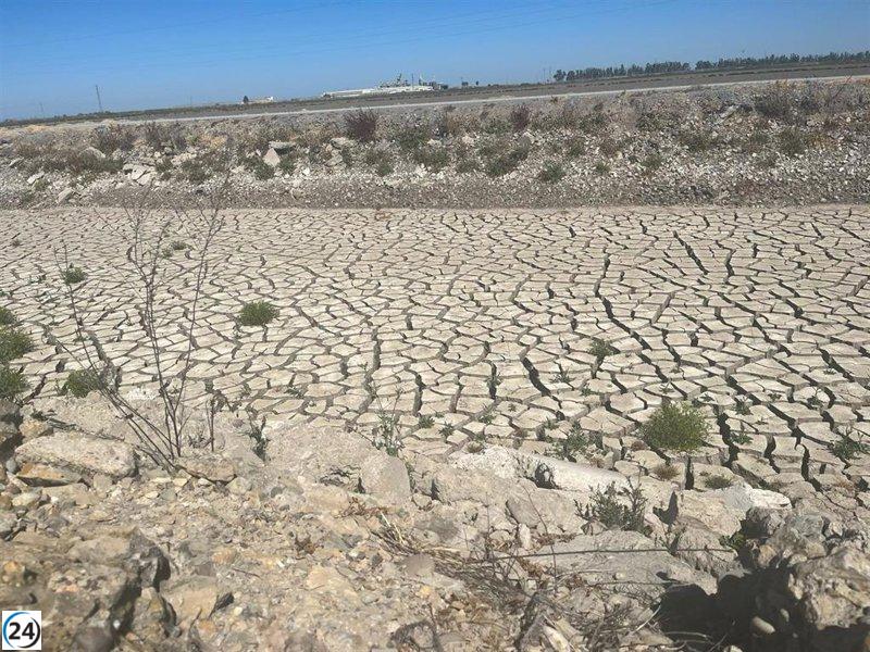 Arroceros sevillanos solicitan plan integral de modernización por sequía.