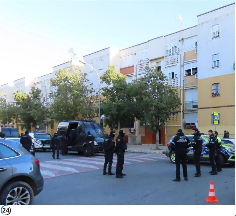 Policía de Sevilla desmantela banda que distribuía marihuana por Europa y se incautan 1.600 plantas.