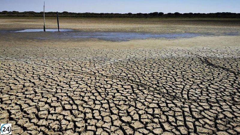 Regantes del Guadalquivir piden medidas más efectivas contra la sequía.