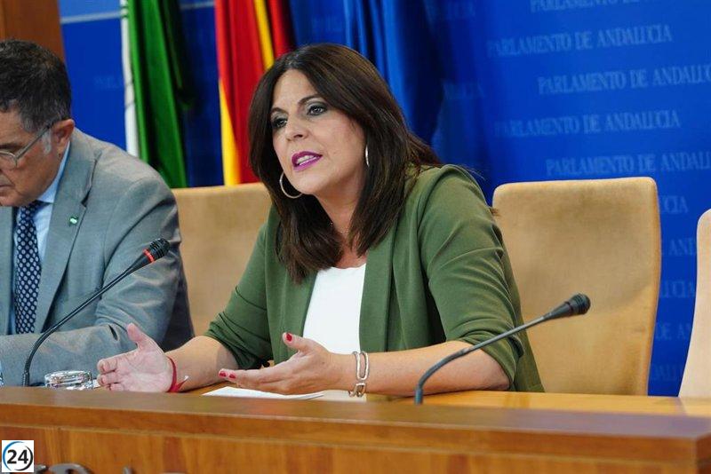 PSOE-A critica la supuesta ineficacia de la Junta en vivienda y duda de la utilidad de los avales en hipotecas.