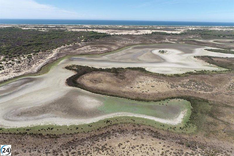 La Ley de Regadíos de Andalucía pone en riesgo la condición de Patrimonio de la Humanidad de Doñana, según la UNESCO.