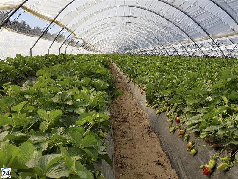 Sánchez advierte sobre impacto negativo de ley de regadíos en agricultores mientras Moreno critica su demagogia sobre Doñana.
