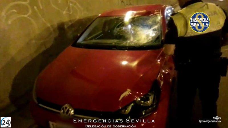 Menor muere tras ser atropellado en la carretera de Su Eminencia.